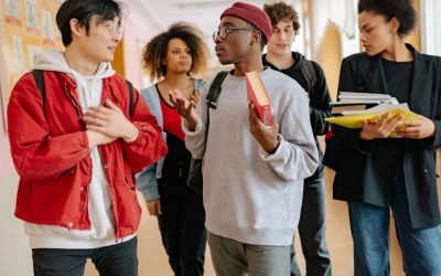 Enseignement Sélectif : Quand l&rsquo;École Devient un Labyrinthe de Choix